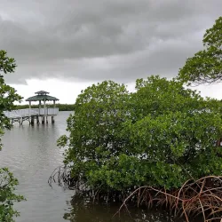 Anne Kolb Nature Center - Hollywood