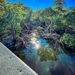 Anne Kolb Nature Center - Hollywood