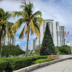 ArtsPark at Young Circle - Hollywood