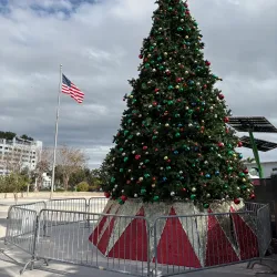 ArtsPark at Young Circle - Hollywood