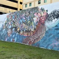 Downtown Hollywood Mural Project - Hollywood