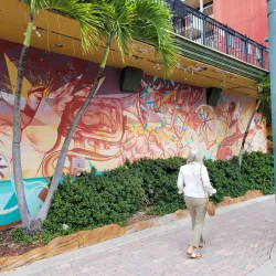 Downtown Hollywood Mural Project - Hollywood