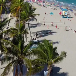 Hollywood Beach Broadwalk - Hollywood