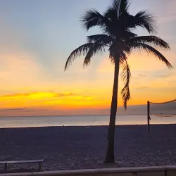 Hollywood Beach Broadwalk - Hollywood