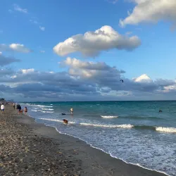 Hollywood Dog Beach - Hollywood