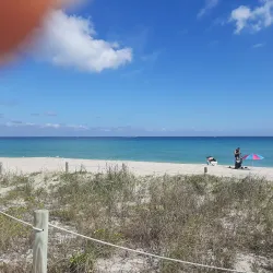 Hollywood Dog Beach - Hollywood