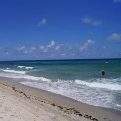 Hollywood Dog Beach - Hollywood