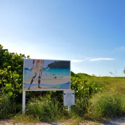 Hollywood Dog Beach - Hollywood