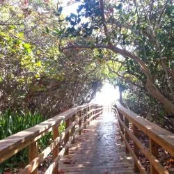 Hollywood North Beach Park - Hollywood