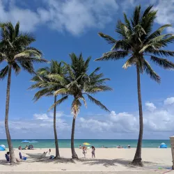 Hollywood North Beach Park - Hollywood