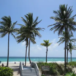 Hollywood North Beach Park - Hollywood