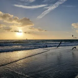 Hollywood North Beach Park - Hollywood