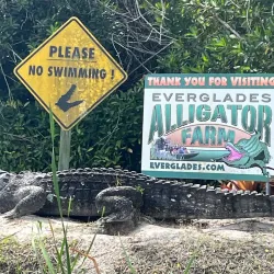 Everglades Alligator Farm - Homestead