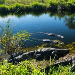 Everglades National Park - Homestead