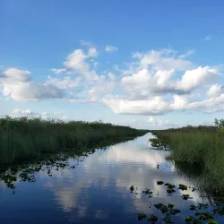 Everglades National Park - Homestead