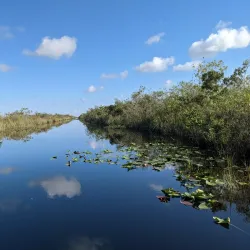 Everglades National Park - Homestead