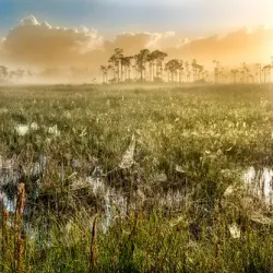 Everglades National Park - Homestead