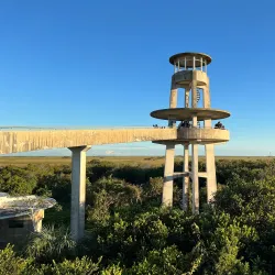 Everglades National Park - Homestead