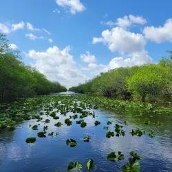 Everglades National Park - Homestead