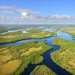 Everglades National Park - Homestead
