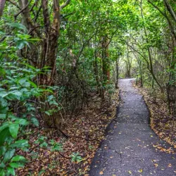 Everglades National Park - Homestead