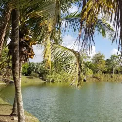 Fruit and Spice Park - Homestead