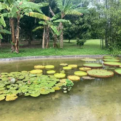 Fruit and Spice Park - Homestead