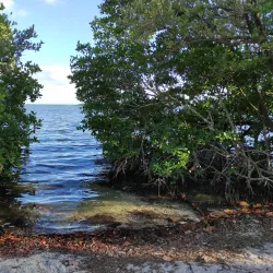 Homestead Bayfront Park and Marina - Homestead