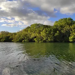 Homestead Bayfront Park and Marina - Homestead