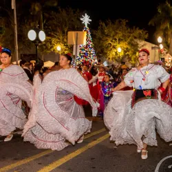Krome Avenue Historic District - Homestead