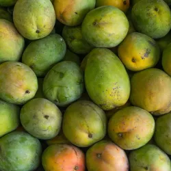 Robert Is Here Fruit Stand and Farm - Homestead