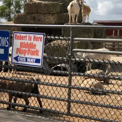 Robert Is Here Fruit Stand and Farm - Homestead