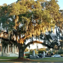 Citrus County Historical Society Museum - Inverness
