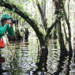 Clyde Butcher's Big Cypress Gallery - Inverness