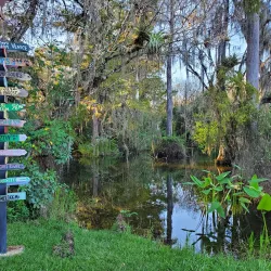 Clyde Butcher's Big Cypress Gallery - Inverness