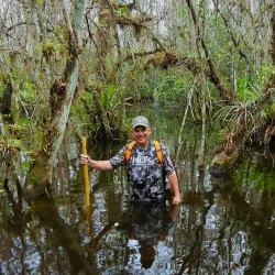 Clyde Butcher's Big Cypress Gallery - Inverness