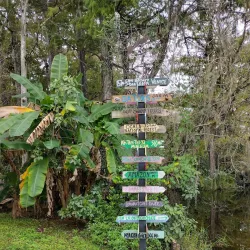 Clyde Butcher's Big Cypress Gallery - Inverness