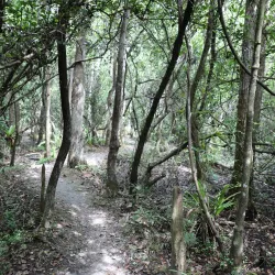 Clyde Butcher's Big Cypress Gallery - Inverness