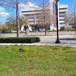 Downtown Inverness - Inverness