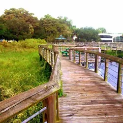 Downtown Inverness - Inverness