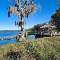 Downtown Inverness - Inverness