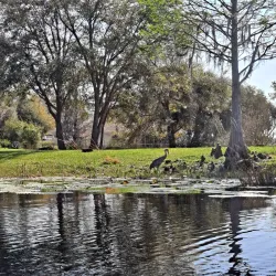 Downtown Inverness - Inverness