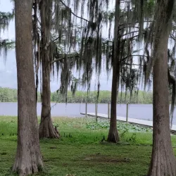 Downtown Inverness - Inverness