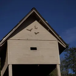 Fort Cooper State Park - Inverness