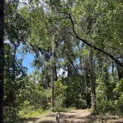 Fort Cooper State Park - Inverness