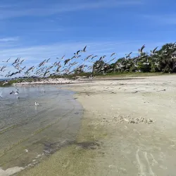 Fort Island Gulf Beach - Inverness