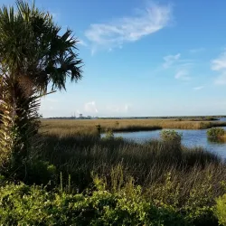 Fort Island Gulf Beach - Inverness