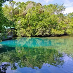 Homosassa Springs Wildlife State Park - Inverness