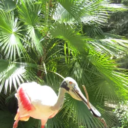 Homosassa Springs Wildlife State Park - Inverness