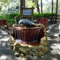 Homosassa Springs Wildlife State Park - Inverness